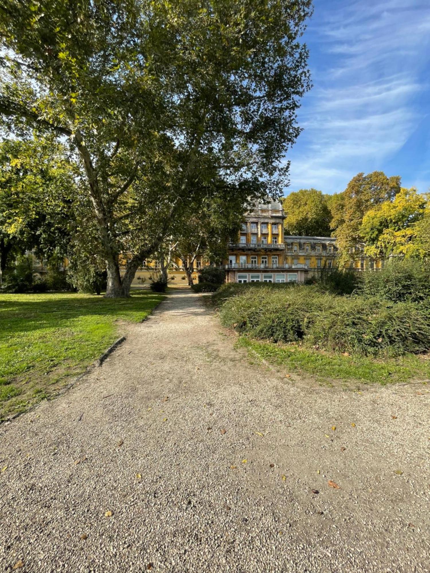 Margaret Apartment Next To The Lukacs Spa With Panorama Danube Budapest Ngoại thất bức ảnh