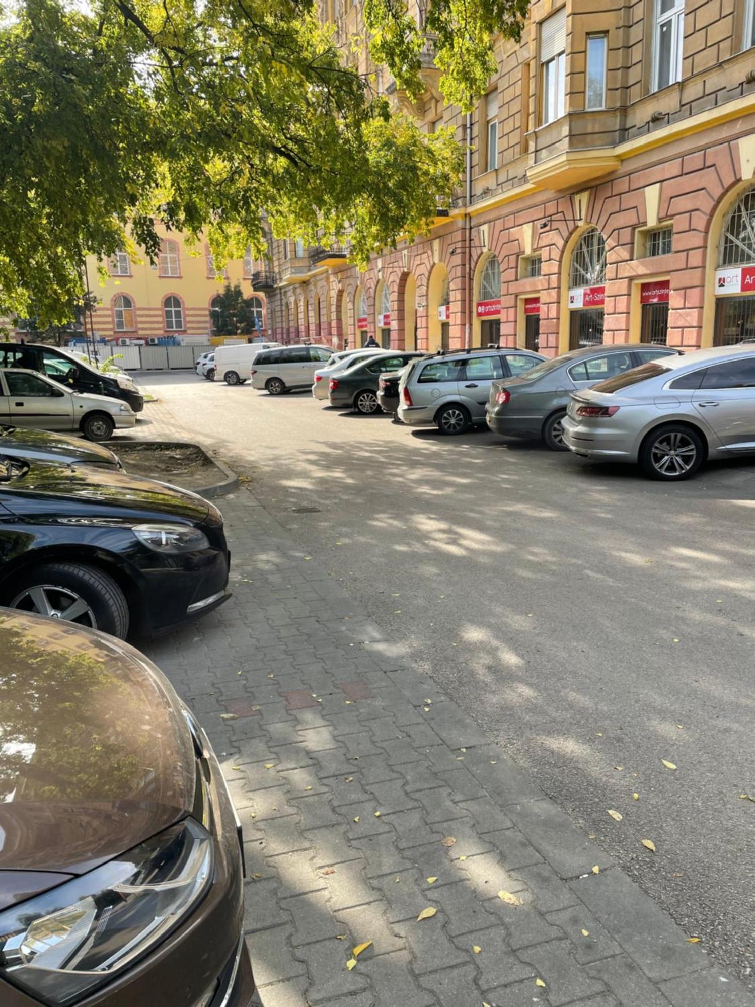 Margaret Apartment Next To The Lukacs Spa With Panorama Danube Budapest Ngoại thất bức ảnh